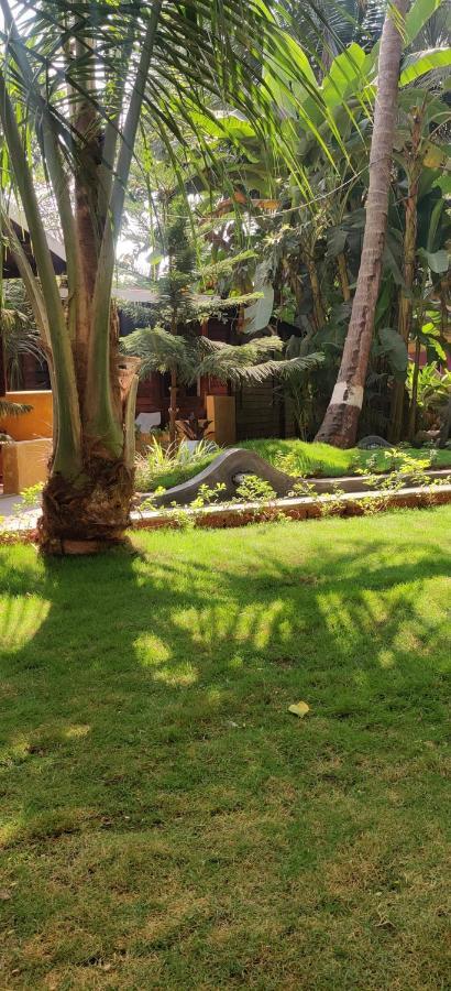 Tattvam On The Beach - Retreat And Spa Arambol Exterior foto